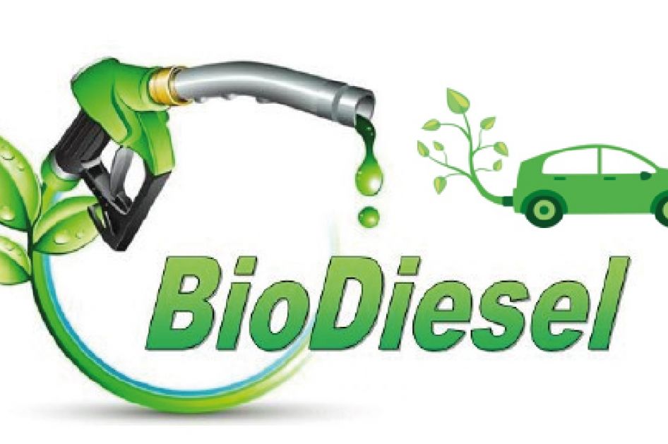 Biodiesel y jabón a partir de aceite vegetal usado